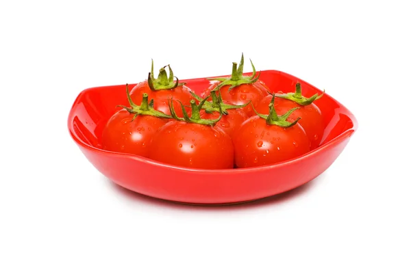 Wet whole tomatos arranged isolated — Zdjęcie stockowe