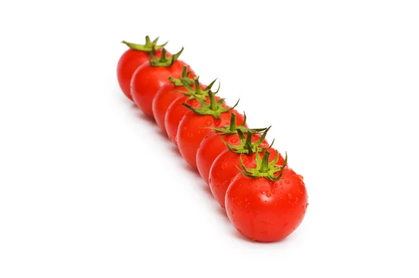 Fila de tomates isolados no branco — Fotografia de Stock