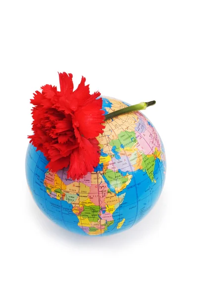 Globe and red carnation — Stock Photo, Image