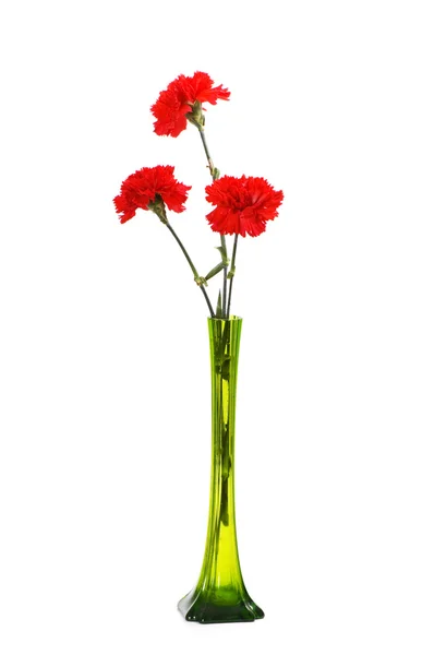 Três cravos vermelhos em vaso verde — Fotografia de Stock