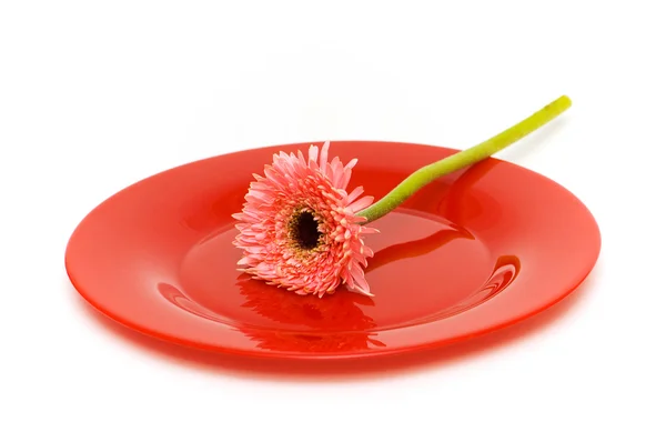 Красная тарелка с цветами — стоковое фото