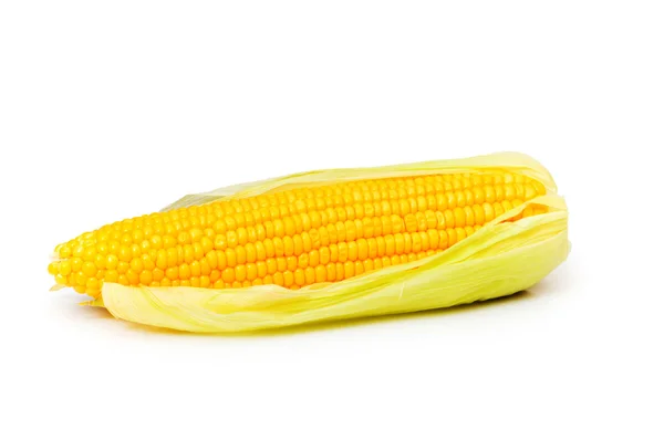 Kukoricacsutka, elszigetelt, fehér — Stock Fotó