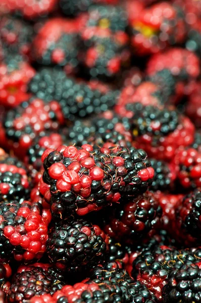 Lots of berries arranged — Stock Photo, Image