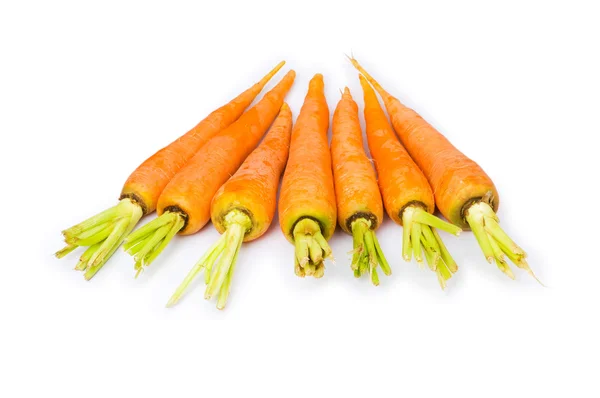 Muchas zanahorias aisladas en el blanco —  Fotos de Stock