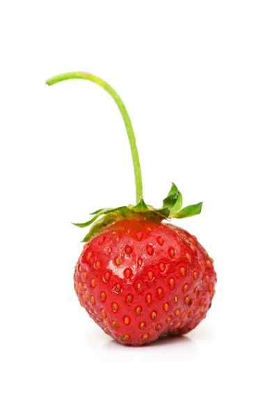 Röd jordgubbe isolerat på vita — Stockfoto