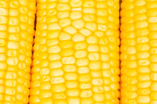 Extreme close up of corn cobs — Stock Photo, Image