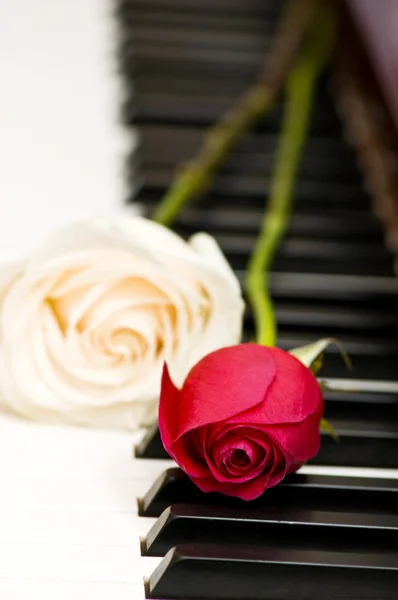 Romantiska koncept - ros på piano — Stockfoto