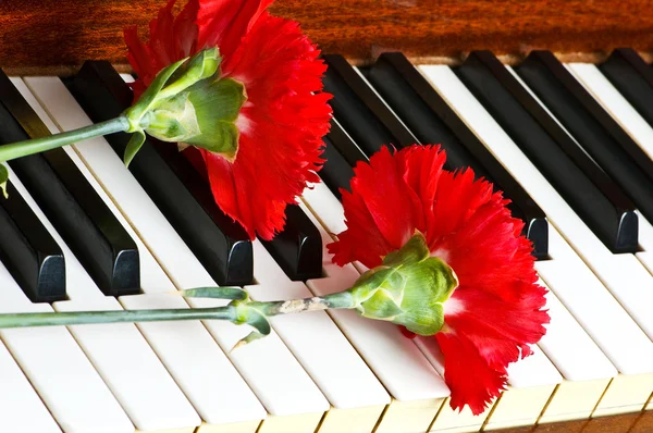 Romantische concept - carnation op piano — Stockfoto