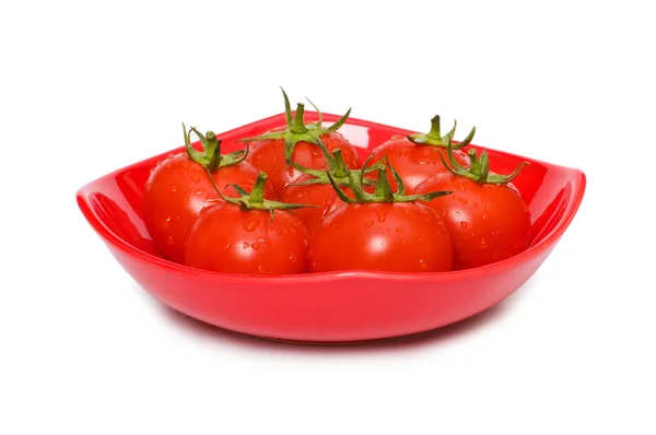 Tomates inteiros molhados dispostos isolados — Fotografia de Stock