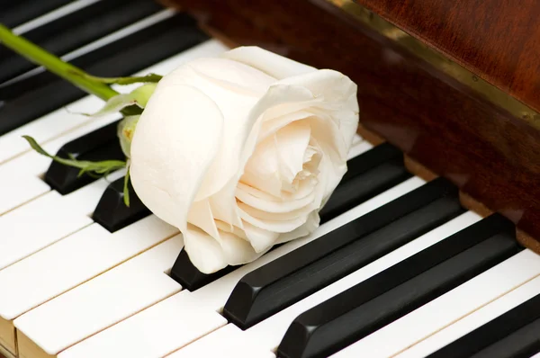 Romantik konsept - gül piyanoda — Stok fotoğraf