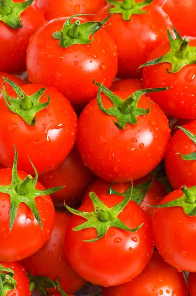 Wet whole tomatos arranged — Stock Photo, Image