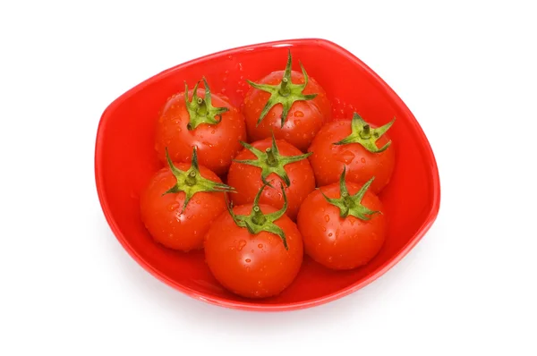 Pomodori interi umidi disposti isolatamente — Foto Stock
