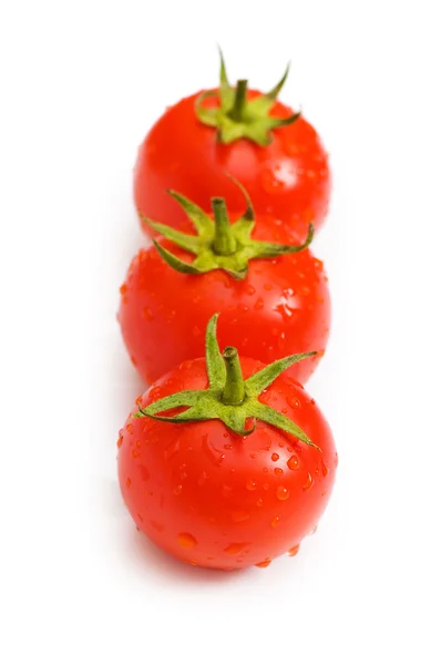 Rij van tomaten geïsoleerd — Stockfoto