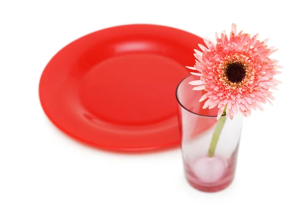 Flower and red plate isolated — Stock Photo, Image