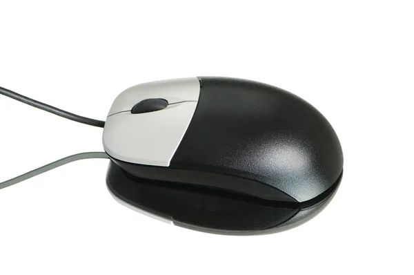 Bilgisayar fare üzerinde beyaz izole — Stok fotoğraf