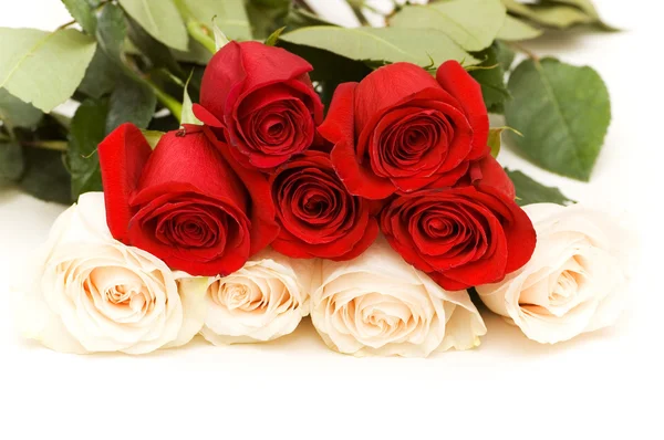 Červené a bílé růže, samostatný — Stock fotografie