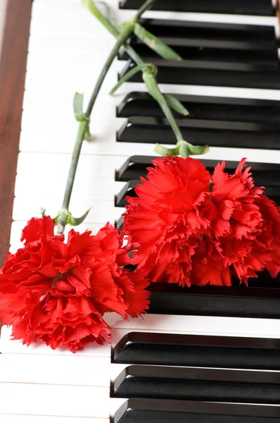 Romantikus koncepció - szegfű-zongora — Stock Fotó