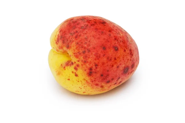 Червоний абрикос ізольований на білому — стокове фото