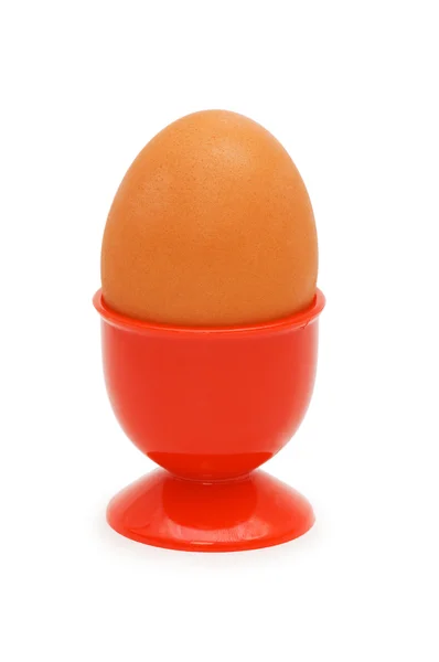 Коричневое яйцо в держателе — стоковое фото