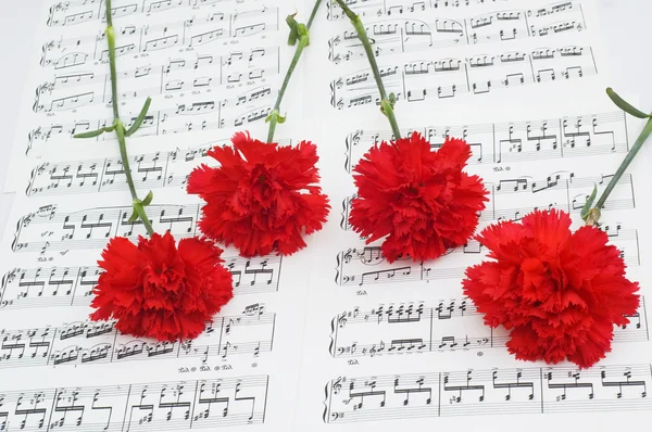 Cravos vermelhos flor em notas — Fotografia de Stock