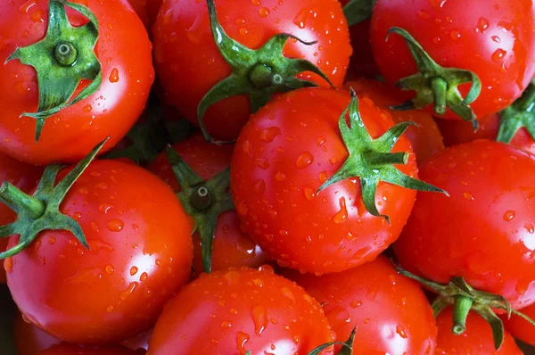 Mokre pomidory całe, ułożone — Zdjęcie stockowe