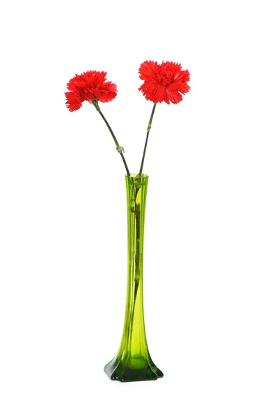 Stock image Two red carnations in green vase