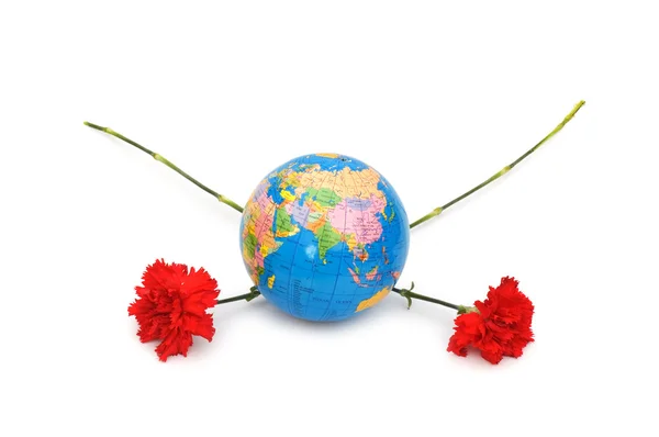 Globe and red carnation — Stock Photo, Image