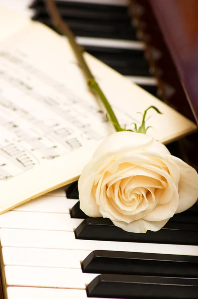 Romantisches Konzept - Weiße Rose am Klavier lizenzfreie Stockfotos