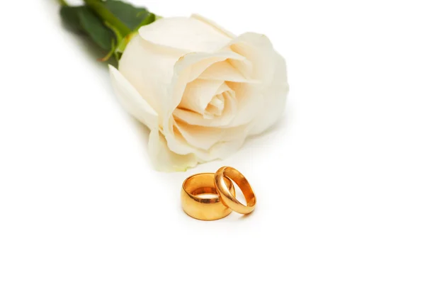 Rose e anéis de casamento isolados Imagem De Stock