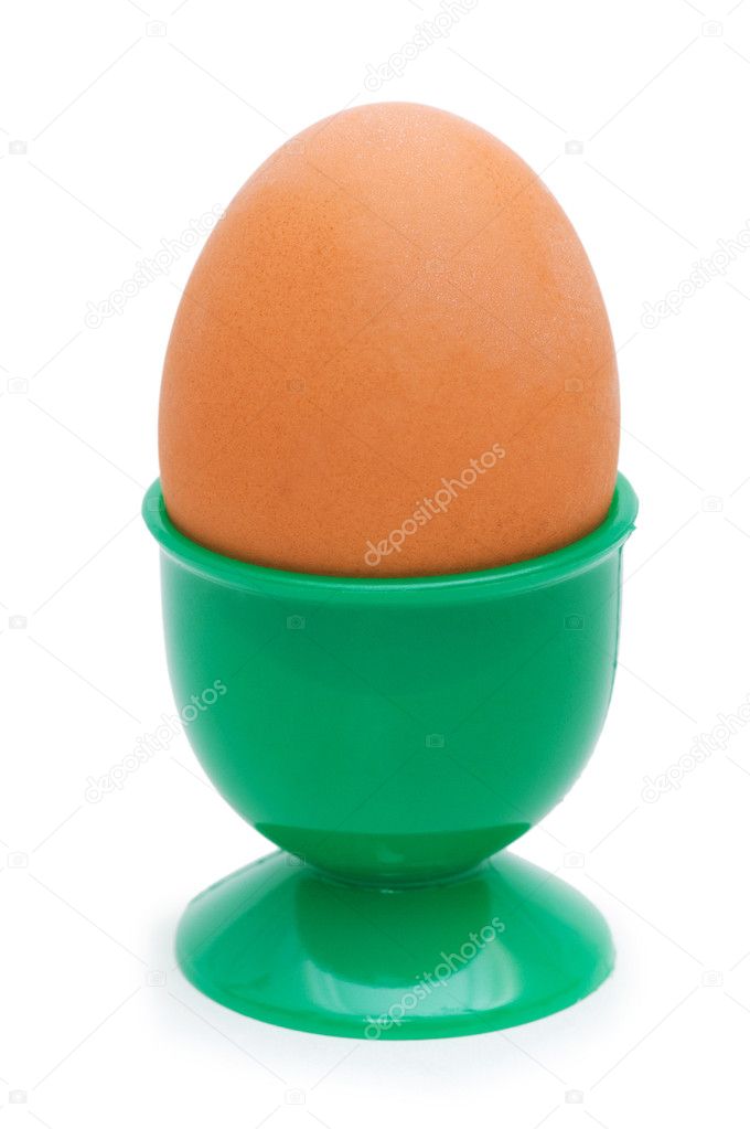 Brown egg in holder isolated