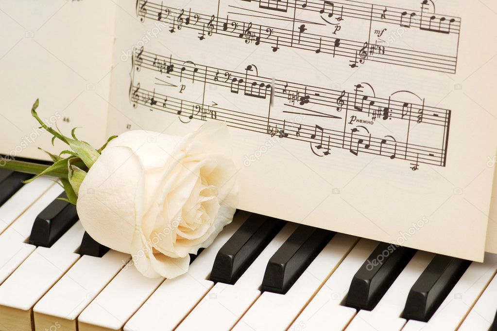 Romantic concept - rose on piano