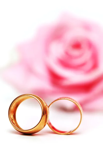 Pink rose and rings isolated — Stock Photo, Image