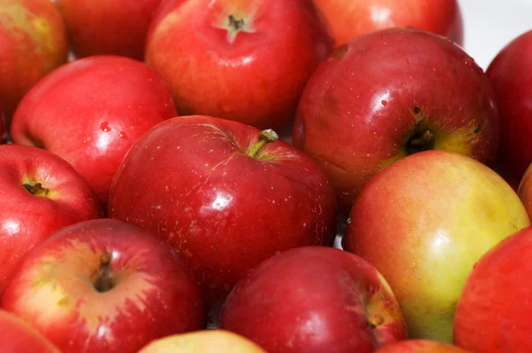 Rode appels gerangschikt in rijen — Stockfoto