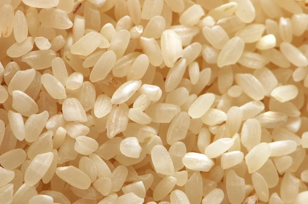 Extreme close up of white rice — Stock Photo, Image
