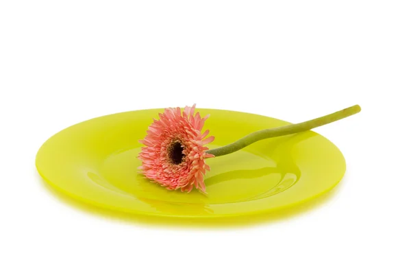 Assiette verte avec fleur isolée — Photo