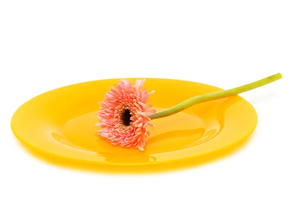 Yellow plate with flower isolated — Stock Photo, Image