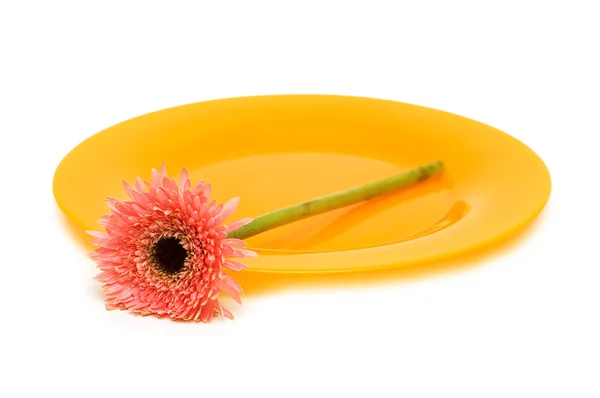 Piastra gialla con fiore isolato — Foto Stock