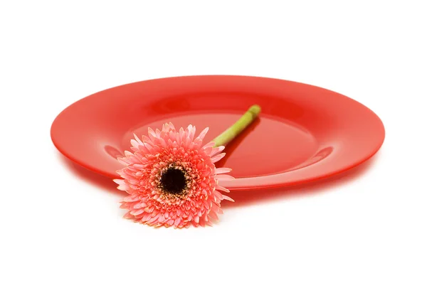 Roter Teller mit Blume isoliert — Stockfoto