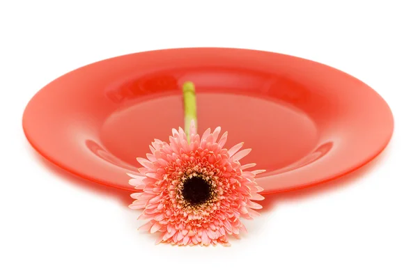 Red plate with flower isolated — Stockfoto