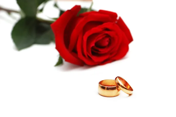 Обручальные кольца и розы — стоковое фото