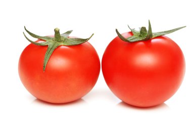 Two tomatoes isolated on the white clipart
