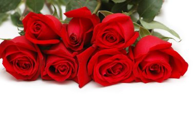 Bunch of red roses isolated clipart