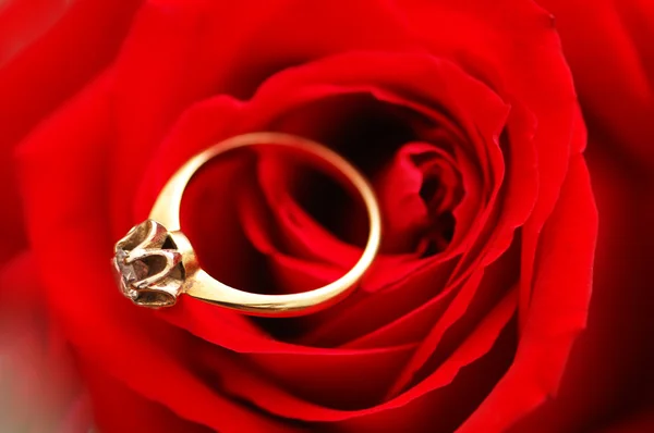 Guldring med diamant på rose — Stockfoto