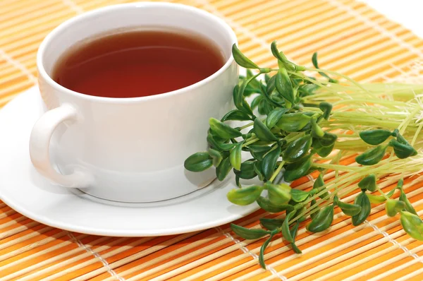 Tasse schwarzer Tee und Kräuter — Stockfoto