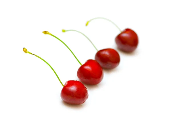 Row of cherries isolated on the white — Stock Photo, Image