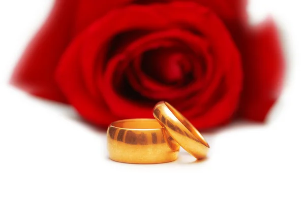 Два обручальных кольца и красная роза — стоковое фото