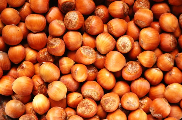 Hazel nuts arranged — Stock Photo, Image