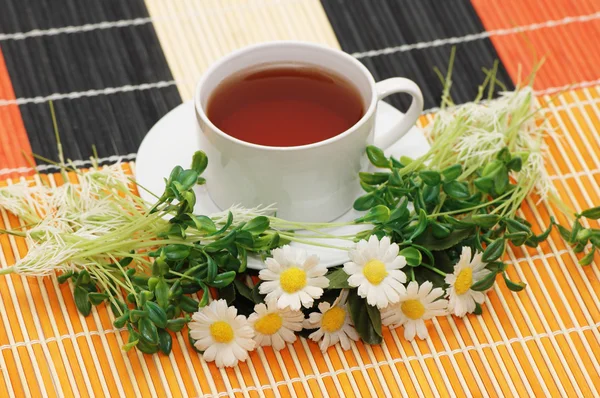 Xícara de chá com ervas e margaridas — Fotografia de Stock