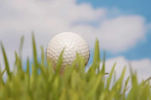 Golfboll och grönt gräs — Stockfoto