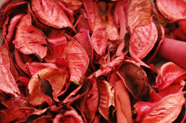 Розовые сухие листья — стоковое фото